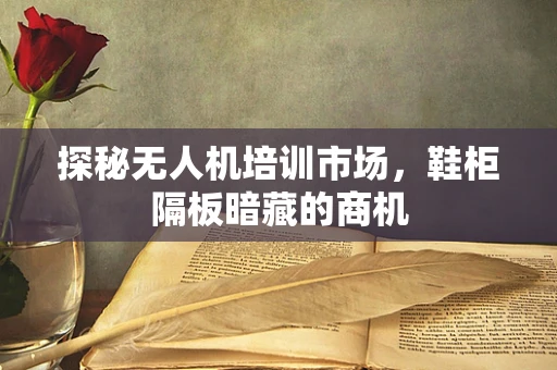 探秘无人机培训市场，鞋柜隔板暗藏的商机
