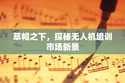 草帽之下，探秘无人机培训市场新景