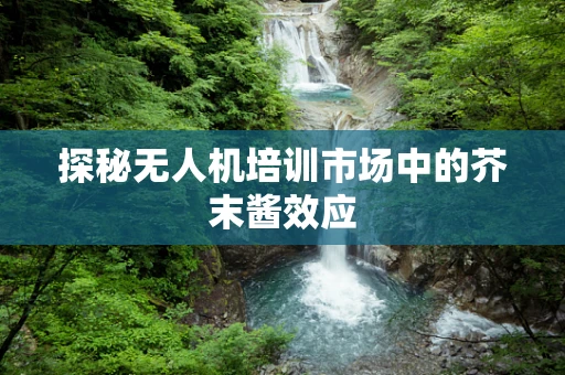 探秘无人机培训市场中的芥末酱效应