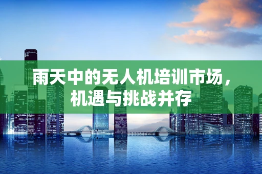 雨天中的无人机培训市场，机遇与挑战并存