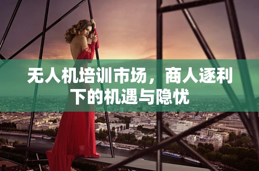 无人机培训市场，商人逐利下的机遇与隐忧