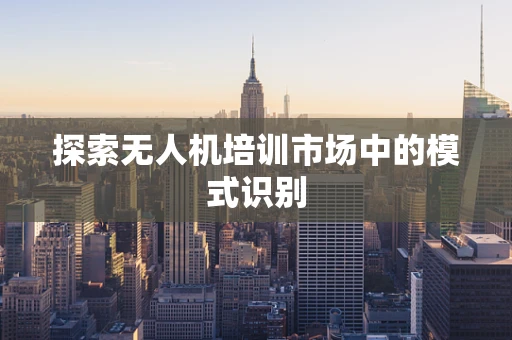 探索无人机培训市场中的模式识别