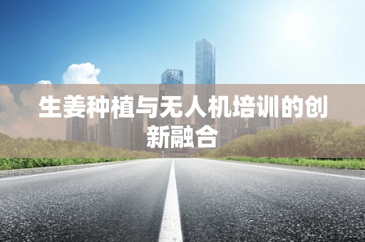 生姜种植与无人机培训的创新融合