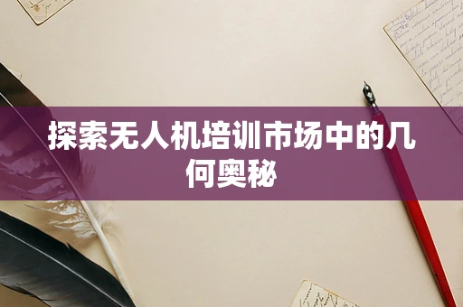 探索无人机培训市场中的几何奥秘