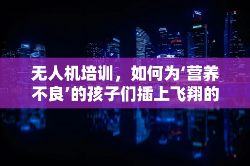 无人机培训，如何为‘营养不良’的孩子们插上飞翔的翅膀？