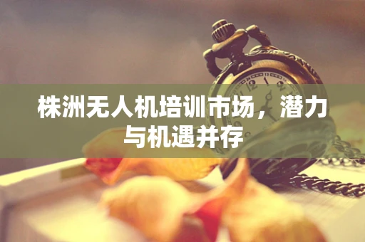 株洲无人机培训市场，潜力与机遇并存