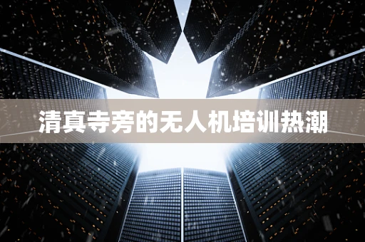 清真寺旁的无人机培训热潮