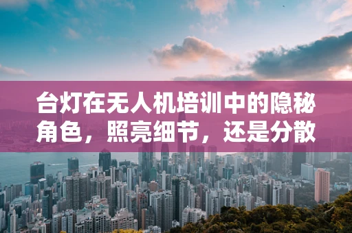 台灯在无人机培训中的隐秘角色，照亮细节，还是分散注意力？