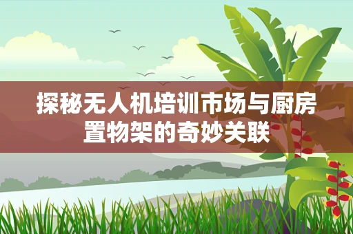 探秘无人机培训市场与厨房置物架的奇妙关联