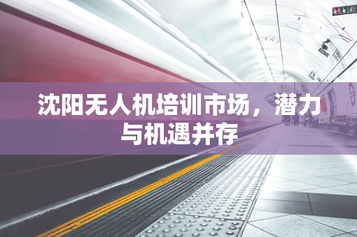 沈阳无人机培训市场，潜力与机遇并存