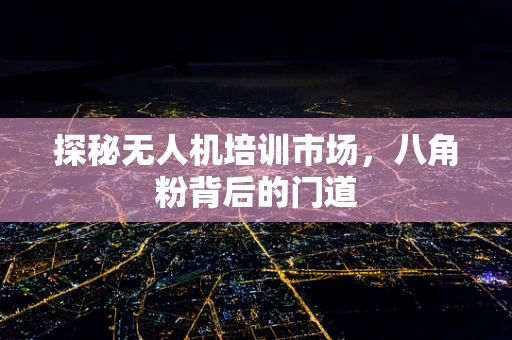 探秘无人机培训市场，八角粉背后的门道