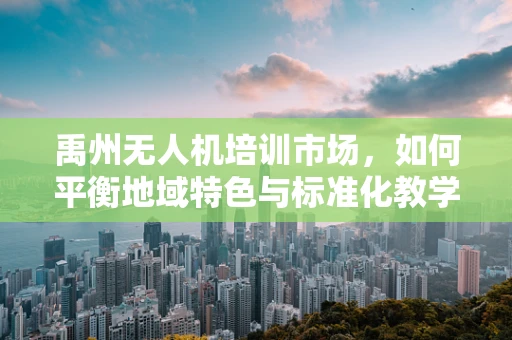 禹州无人机培训市场，如何平衡地域特色与标准化教学？
