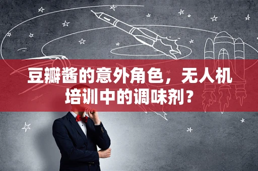 豆瓣酱的意外角色，无人机培训中的调味剂？
