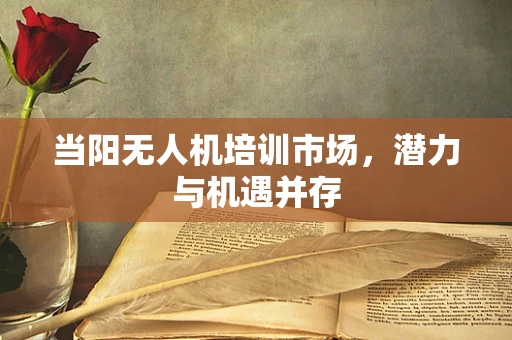 当阳无人机培训市场，潜力与机遇并存