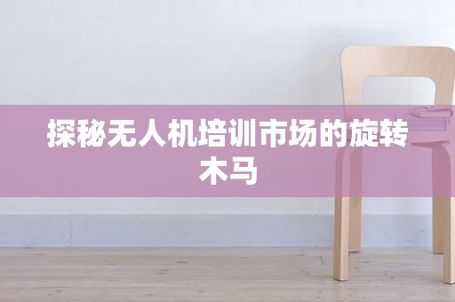探秘无人机培训市场的旋转木马