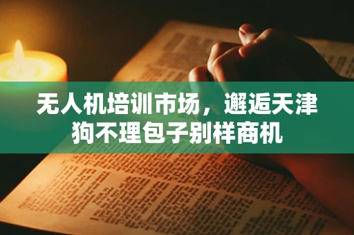 无人机培训市场，邂逅天津狗不理包子别样商机
