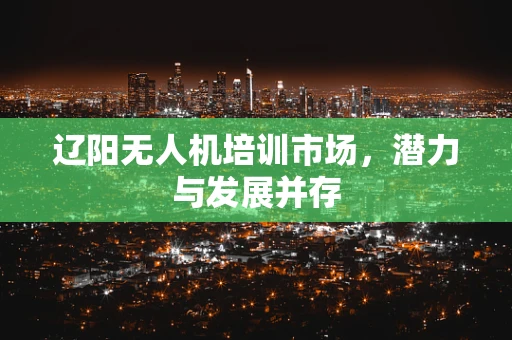 辽阳无人机培训市场，潜力与发展并存