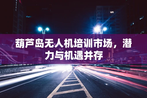 葫芦岛无人机培训市场，潜力与机遇并存