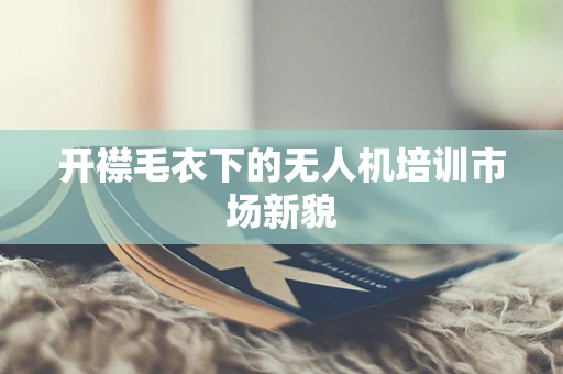 开襟毛衣下的无人机培训市场新貌