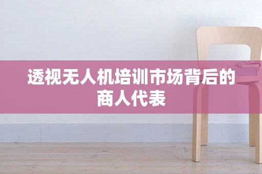 透视无人机培训市场背后的商人代表