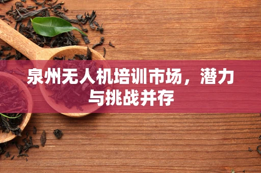 泉州无人机培训市场，潜力与挑战并存