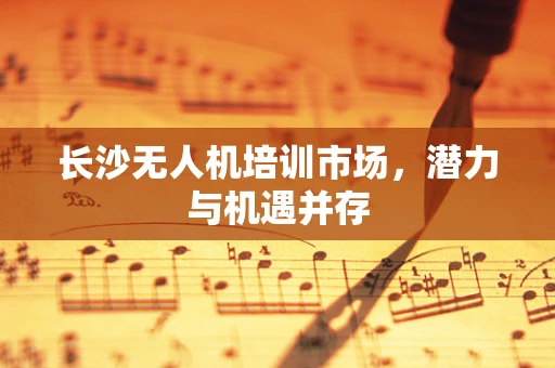 长沙无人机培训市场，潜力与机遇并存