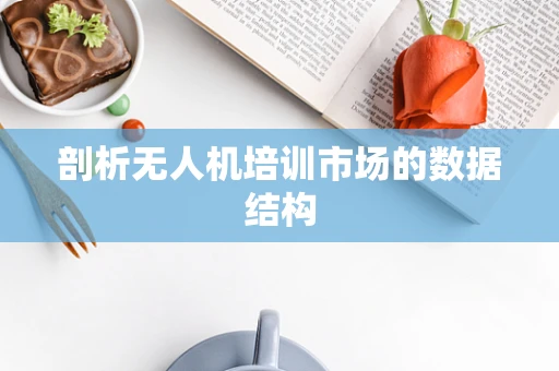 剖析无人机培训市场的数据结构