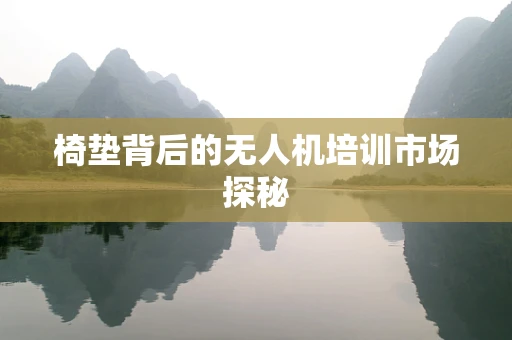 椅垫背后的无人机培训市场探秘