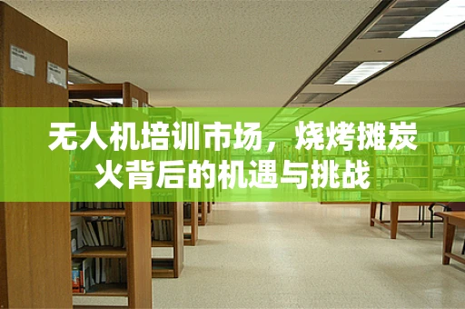 无人机培训市场，烧烤摊炭火背后的机遇与挑战