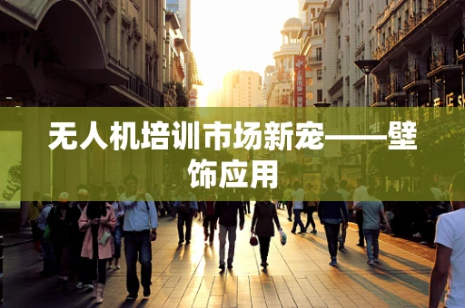 无人机培训市场新宠——壁饰应用
