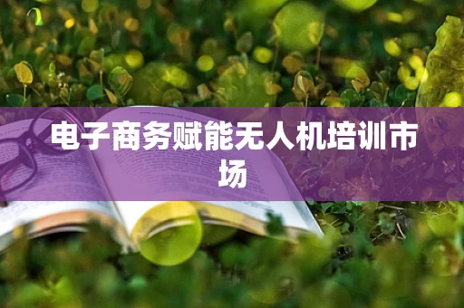 电子商务赋能无人机培训市场