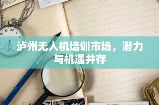 泸州无人机培训市场，潜力与机遇并存