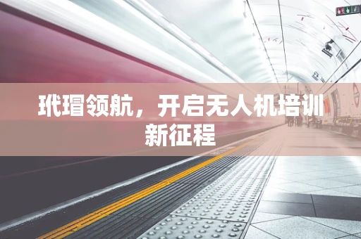 玳瑁领航，开启无人机培训新征程