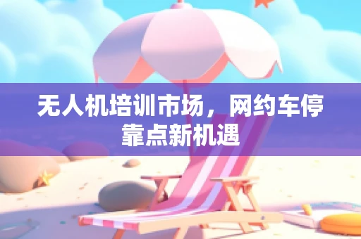 无人机培训市场，网约车停靠点新机遇
