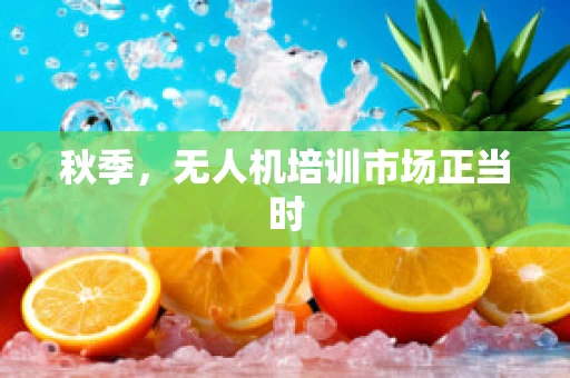 秋季，无人机培训市场正当时