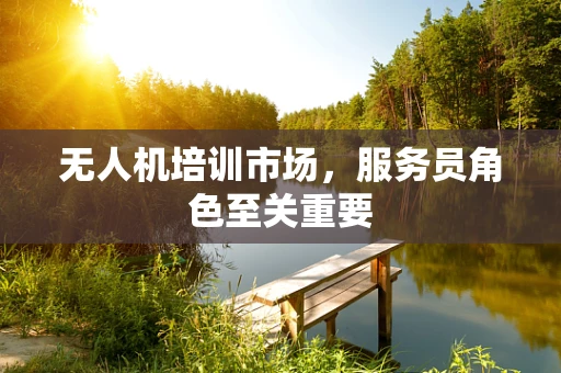 无人机培训市场，服务员角色至关重要