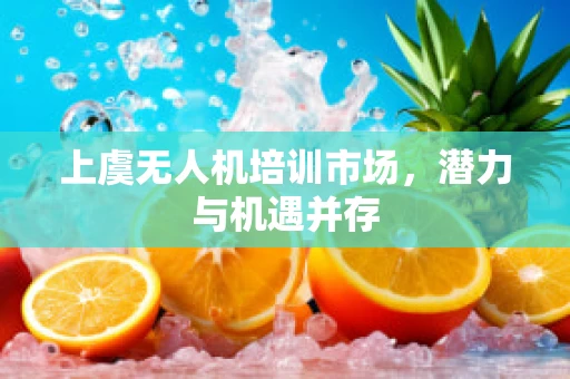 上虞无人机培训市场，潜力与机遇并存