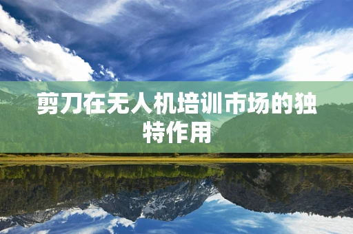 剪刀在无人机培训市场的独特作用