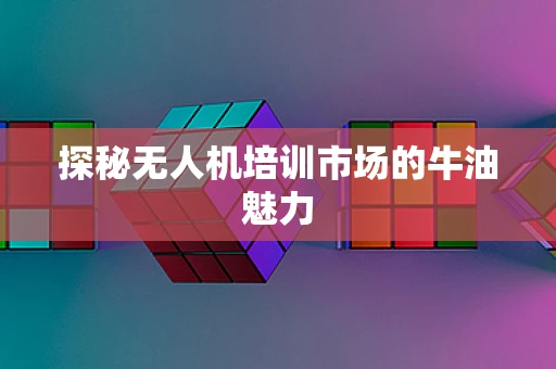 探秘无人机培训市场的牛油魅力