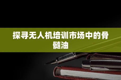 探寻无人机培训市场中的骨髓油