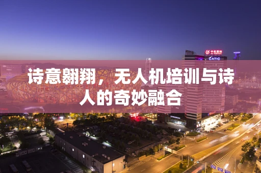 诗意翱翔，无人机培训与诗人的奇妙融合