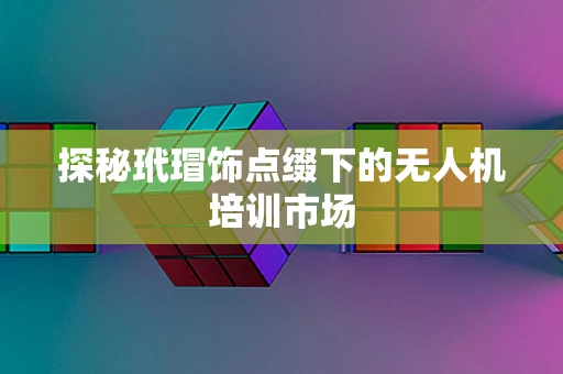 探秘玳瑁饰点缀下的无人机培训市场