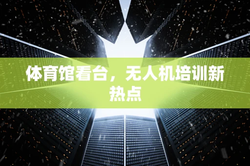 体育馆看台，无人机培训新热点