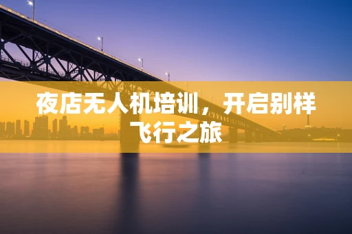 夜店无人机培训，开启别样飞行之旅