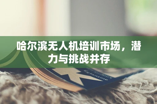哈尔滨无人机培训市场，潜力与挑战并存