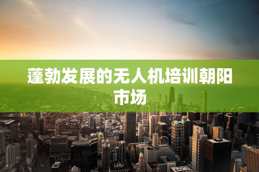 蓬勃发展的无人机培训朝阳市场