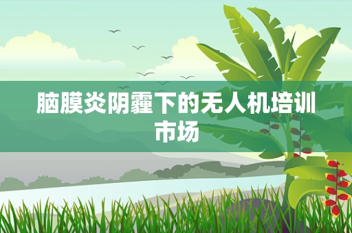 脑膜炎阴霾下的无人机培训市场