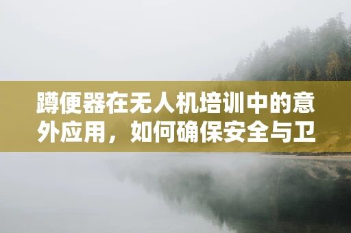 蹲便器在无人机培训中的意外应用，如何确保安全与卫生？