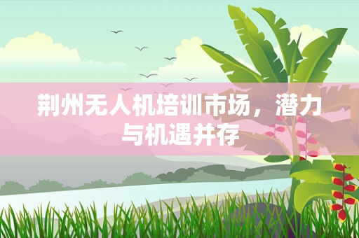 荆州无人机培训市场，潜力与机遇并存