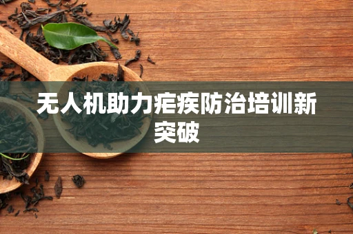 无人机助力疟疾防治培训新突破